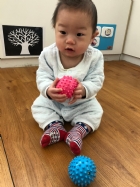 10902奇妙的觸感～刺刺球～