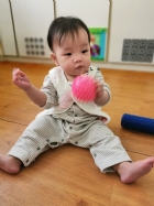 10902奇妙的觸感～刺刺球～