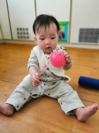 10902奇妙的觸感～刺刺球～