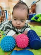 10902奇妙的觸感～刺刺球～