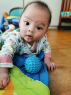 10902奇妙的觸感～刺刺球～