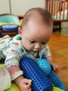 10902奇妙的觸感～刺刺球～