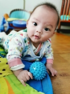 10902奇妙的觸感～刺刺球～