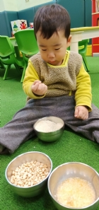 10902米的三形態～我們吃的飯和粥，原來是什麼模樣？米還有什麼其它的變化呢？