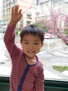 娃娃國門口的櫻花又開囉～帶寶貝來賞花囉！