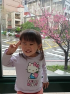 娃娃國門口的櫻花又開囉～帶寶貝來賞花囉！