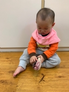 寶寶都有吃過玉米醬吧？今天老師帶寶寶看看玉米原來的樣子哦！