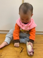 寶寶都有吃過玉米醬吧？今天老師帶寶寶看看玉米原來的樣子哦！