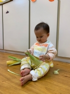 寶寶都有吃過玉米醬吧？今天老師帶寶寶看看玉米原來的樣子哦！