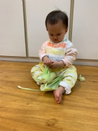 寶寶都有吃過玉米醬吧？今天老師帶寶寶看看玉米原來的樣子哦！