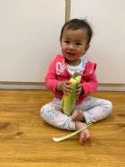 寶寶都有吃過玉米醬吧？今天老師帶寶寶看看玉米原來的樣子哦！