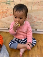 寶寶都有吃過玉米醬吧？今天老師帶寶寶看看玉米原來的樣子哦！