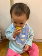 寶寶都有吃過玉米醬吧？今天老師帶寶寶看看玉米原來的樣子哦！