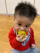 寶寶都有吃過玉米醬吧？今天老師帶寶寶看看玉米原來的樣子哦！