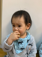 寶寶都有吃過玉米醬吧？今天老師帶寶寶看看玉米原來的樣子哦！