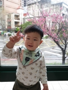 娃娃國門口的櫻花又開囉～帶寶貝來賞花囉！