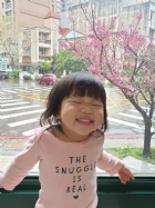 娃娃國門口的櫻花又開囉～帶寶貝來賞花囉！