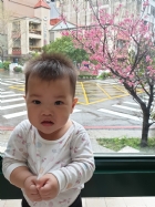 娃娃國門口的櫻花又開囉～帶寶貝來賞花囉！