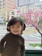 娃娃國門口的櫻花又開囉～帶寶貝來賞花囉！