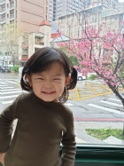 娃娃國門口的櫻花又開囉～帶寶貝來賞花囉！