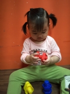 荳芽教具操作～我會配對