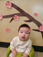 10903荳荳寶貝與櫻花有個約會