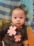 10903荳荳寶貝與櫻花有個約會