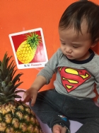 初次見面穿衣服的鳳梨先生，寶寶試一試，摸起來是什麼感覺？