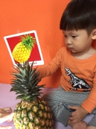 初次見面穿衣服的鳳梨先生，寶寶試一試，摸起來是什麼感覺？