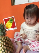 初次見面穿衣服的鳳梨先生，寶寶試一試，摸起來是什麼感覺？