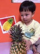 初次見面穿衣服的鳳梨先生，寶寶試一試，摸起來是什麼感覺？
