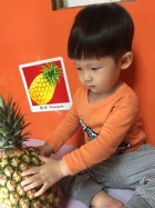 初次見面穿衣服的鳳梨先生，寶寶試一試，摸起來是什麼感覺？