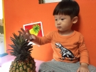 初次見面穿衣服的鳳梨先生，寶寶試一試，摸起來是什麼感覺？