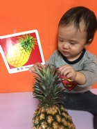 初次見面穿衣服的鳳梨先生，寶寶試一試，摸起來是什麼感覺？