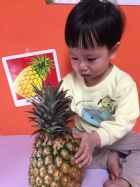 初次見面穿衣服的鳳梨先生，寶寶試一試，摸起來是什麼感覺？