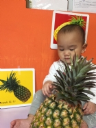 初次見面穿衣服的鳳梨先生，寶寶試一試，摸起來是什麼感覺？