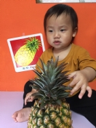 初次見面穿衣服的鳳梨先生，寶寶試一試，摸起來是什麼感覺？