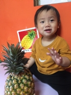 初次見面穿衣服的鳳梨先生，寶寶試一試，摸起來是什麼感覺？