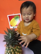初次見面穿衣服的鳳梨先生，寶寶試一試，摸起來是什麼感覺？