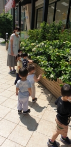 戶外活動～陽光充足，我們賞花去吧！