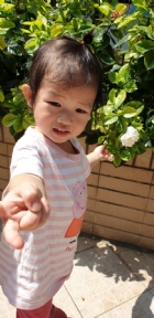 戶外活動～陽光充足，我們賞花去吧！