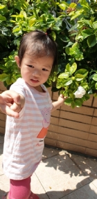 戶外活動～陽光充足，我們賞花去吧！