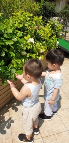 戶外活動～陽光充足，我們賞花去吧！