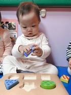 10904荳芽寶寶形狀配對嵌板