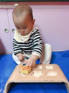 10904荳芽寶寶形狀配對嵌板