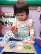 10904荳芽寶寶形狀配對嵌板