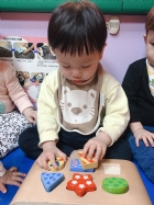 10904荳芽寶寶形狀配對嵌板