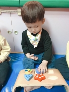 10904荳芽寶寶形狀配對嵌板
