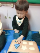 10904荳芽寶寶形狀配對嵌板