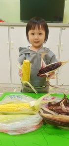 10903生活教育～玉米不是只有黃色的哦！還有白色和紫色的，老師帶來讓大家看看有什麼不同吧！